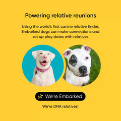 Breed + Health Test 2-Pack